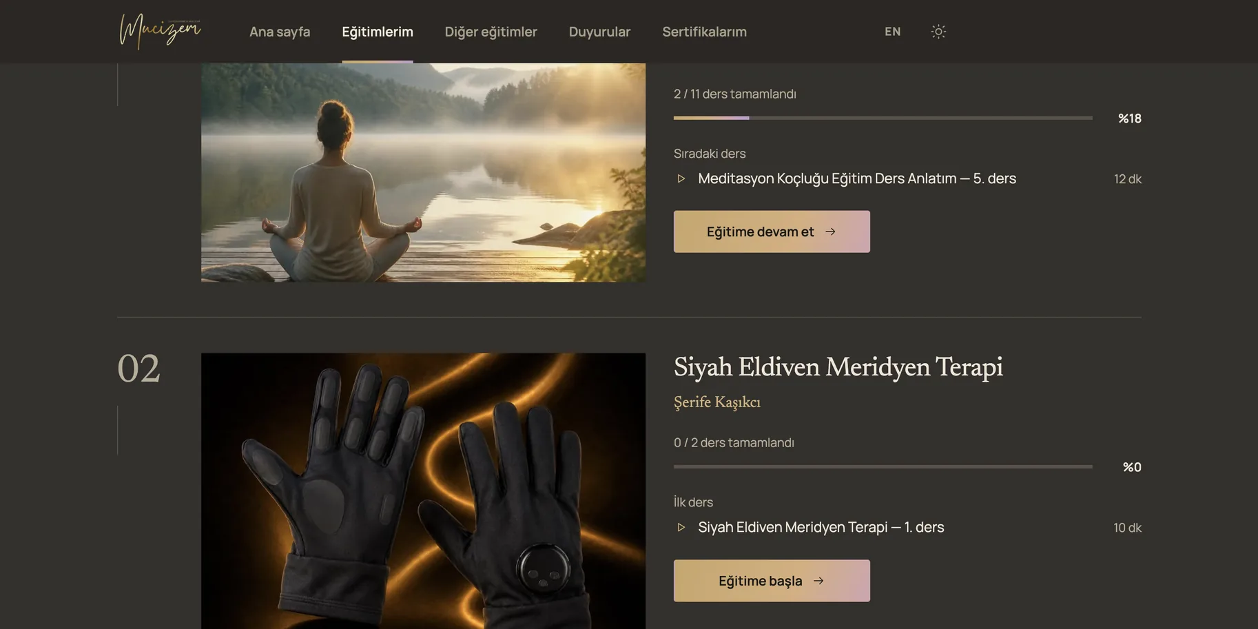 My courses: each one with its progress and the next lesson to watch