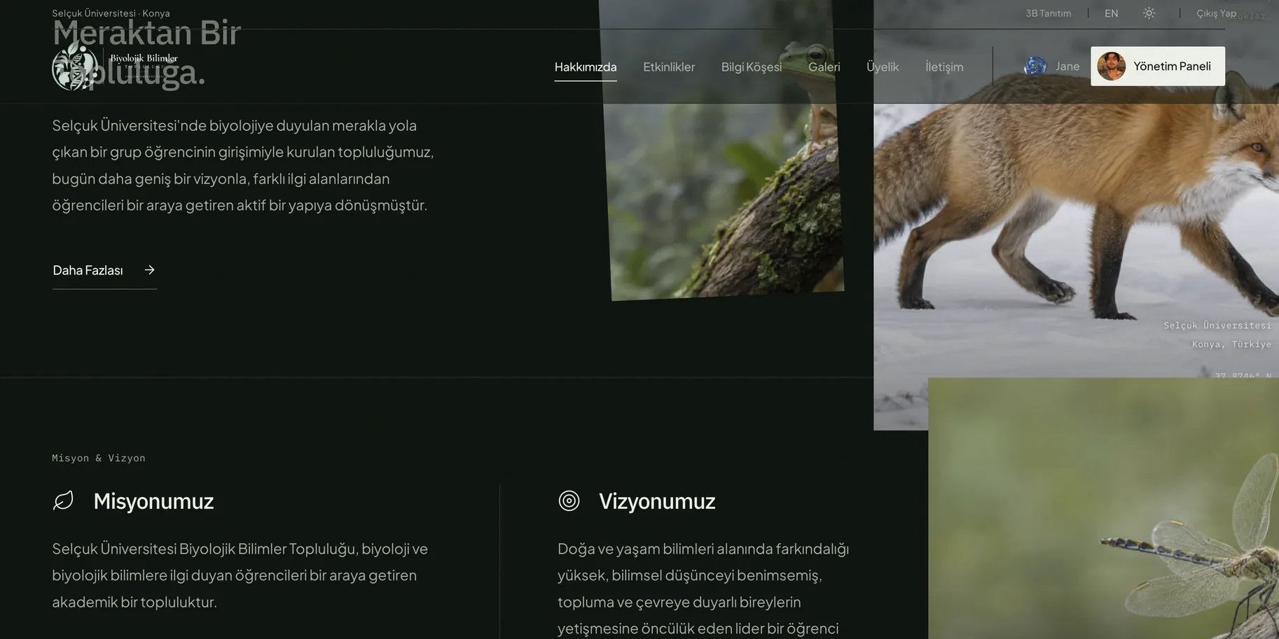 The about page: "From curiosity to a community", the mission and the vision beside a fox crossing the snow